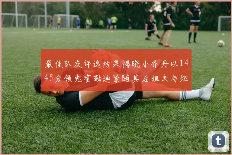 最佳队友评选结果揭晓小乔丹以1445分领先霍勒迪紧随其后姐夫与坦普尔并列第34位